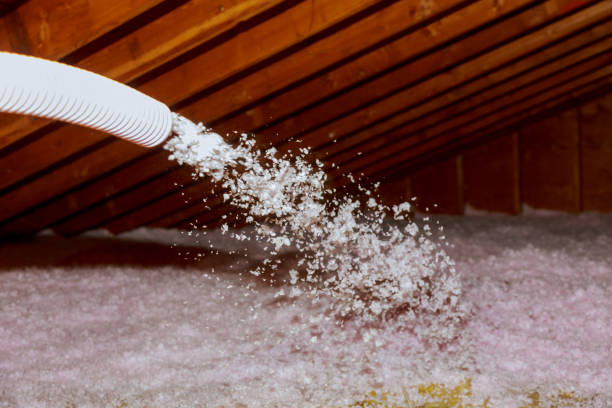 Best Crawl Space Insulation  in Evansburg, PA