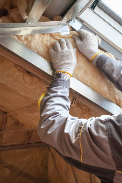 Best Best Insulation Companies  in Evansburg, PA