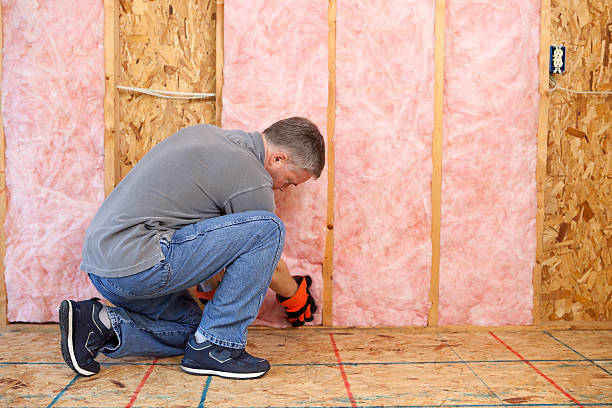 Best Insulation Inspection Services  in Evansburg, PA